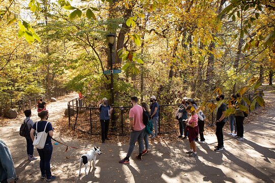 Tour image 1